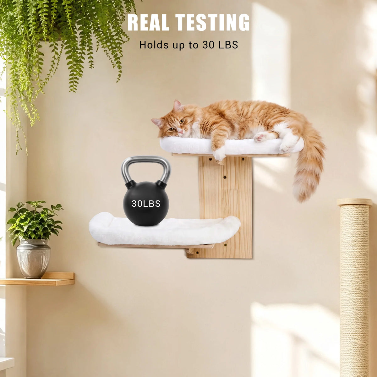 Nordic Solid Wood Wall-Mounted Cat Bed – Washable Cushion, Heavy-Duty Hanging Cat Shelf for Indoor Cats, Easy Install Corner Wall Furniture