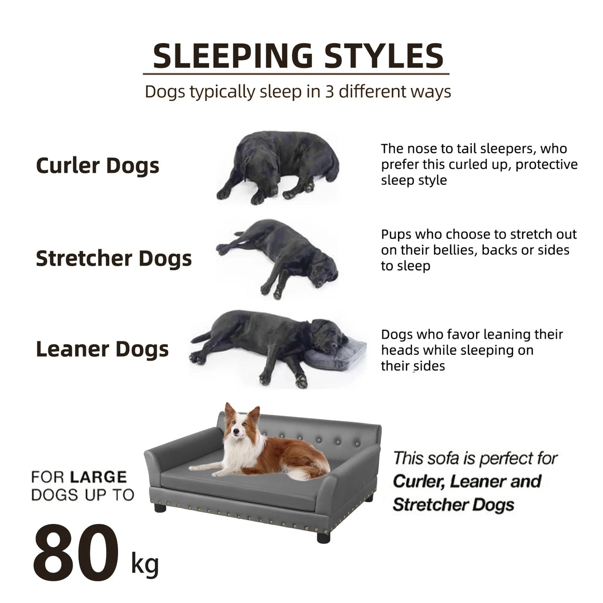 BINGOPAW Elevated Dog Sofa Bed With Removable Cushion